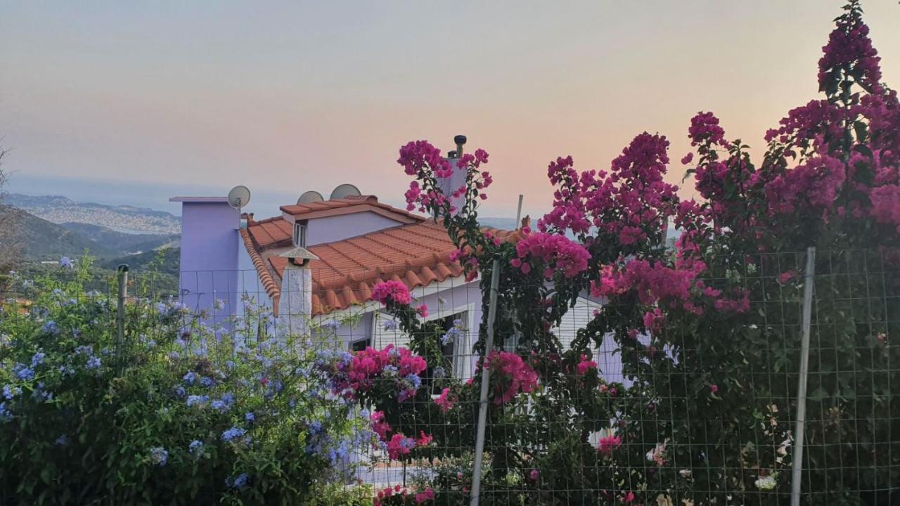 Villa Kokos Dilináta Exteriér fotografie