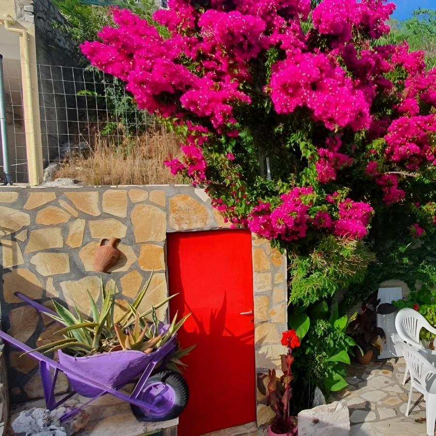 Villa Kokos Dilináta Exteriér fotografie
